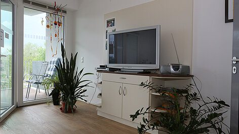 Wohnzimmer mit Fernseher und Pflanzen