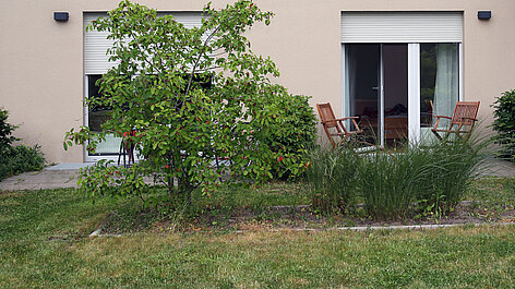 Garten vor Haus mit Baum und Terrasse
