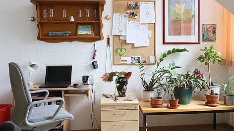 Arbeitsplatz mit Laptop und vielen Pflanzen